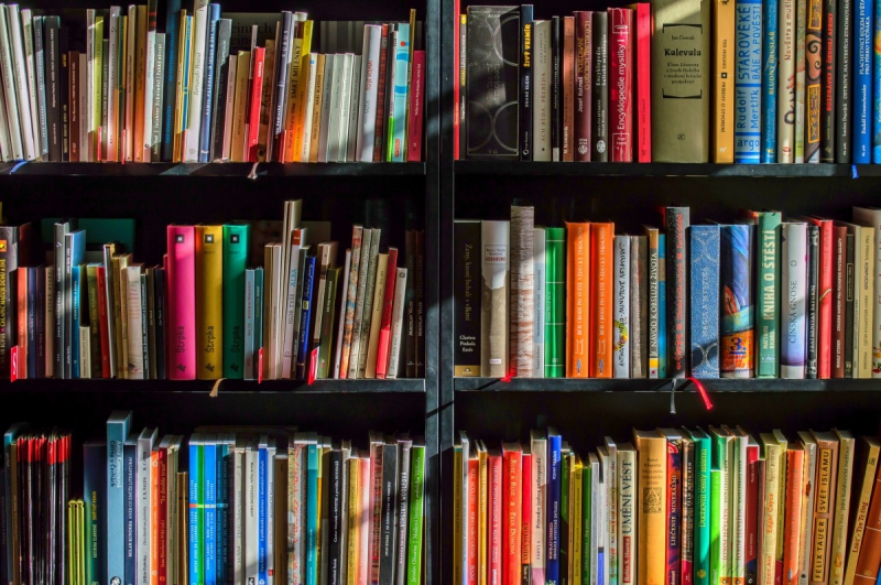 magasin-AMIRAT-min_books_bookstore_book_reading_shop_writer_sale_books_read-822866